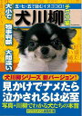 犬川柳 チワワ編/バーゲンブック{チワワスタイル編集部 編 辰巳出版 ホーム・ライフ ペット ホーム ライフ 家族 人気 写真 写真集 心理}