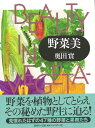 野菜美/バーゲンブック{奥田 實新樹社 理学 工学 植物 農学 アート}