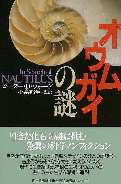 オウムガイの謎/バーゲンブック{ピーター D．ウォード 河出書房新社 理学 工学 生物 動物 生命科学 デザイン ノン フィクション 科学 現代 海}