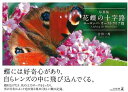 写真集 花蝶の十字路 ヨーロッパ・オーストラリア篇/バーゲンブック{吉田 一秀 幻冬舎 美術 工芸 写真集・写真家 写真集 写真家 写真}