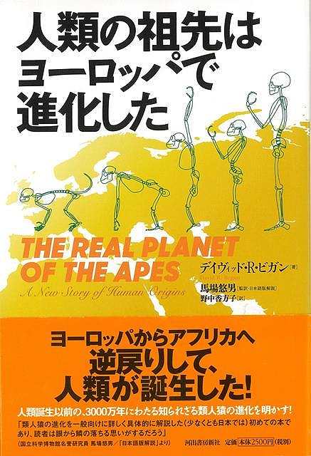 人類の祖先はヨーロッパで進化した/バーゲンブック{デイヴィッド・R・ビガン 河出書房新社 理学 工学 生物 動物 生命科学 科学}