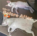うちのコBefore After 猫編/バーゲンブック{にゃんこ編集部 マイウェイ出版 ホーム・ライフ ペット ホーム ライフ 写真 写真集 時代 写真家}