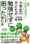 小学生の子どもが勉強せずに困ったとき読む本/バーゲンブック{嶋 美貴 明日香出版社 マタニティ～チャイルド・ケア 子育 食育 マタニティ～チャイルド ケア 環境 マタニティ チャイルド 子ども 小学生}