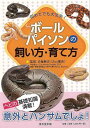 ボールパイソンの飼い方・育て方−初めてでも大丈夫!/バーゲンブック{白輪 剛史 東京堂出版 ホーム・ライフ ペット ホーム ライフ 人気 知識 写真...