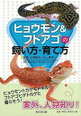 ヒョウモン&フトアゴの飼い方・育て方−初めてでも大丈夫!/バーゲンブック{白輪 剛史 東京堂出版 ホーム・ライフ ペット ホーム ライフ 人気 知識...