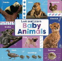 Look and Learn Baby Animals/バーゲンブック{ボードブック Import19 洋書 児童洋書 児童 子供 こども 英語 えいご}