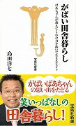 がばい田舎暮らし―宝島社新書/バーゲンブック{島田 洋七 宝島社 エンターテインメント タレント ミュージシャン TV}