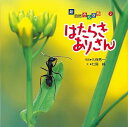 はたらきありさん－新 自然きらきら2/バーゲンブック 七尾 純 偕成社 子ども ドリル 学習モノ/学習事典 図鑑 学習モノ 学習事典 図鑑 絵本 えほん 学習 写真 事典 昆虫 写真家 写真集