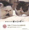 鼻ぺちゃニャンず ぼっこ&ずー/バーゲンブック{pechanko_bocco ジーウォーク ホーム・ライフ ペット ホーム ライフ 写真 写真集 写真家}
