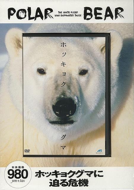 DVD ホッキョクグマ/バーゲンブック{本編52分 メディアリンクス 理学 工学 生物 動物 生命科学 科学}