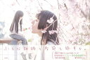 ロードムービー 太楼写真集/バーゲンブック{太楼 芸術新聞社 美術 工芸 写真集・写真家 写真集 写真家 写真}