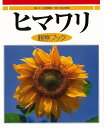 ヒマワリ観察ブック/バーゲンブック{小田 英智 偕成社 子ども ドリル 観察図鑑 飼育 ブック 観察 図鑑 写真 夏 写真家 写真集}