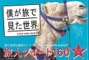 僕が旅で見た世界/バーゲンブック{日本ドリームプロジェクト 編 いろは出版 地図 ガイド 旅行/ドライブ・ガイド 旅行 ドライブ コレクション}