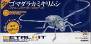 増補改訂版 ゴマダラカミキリムシ/バーゲンブック{科学と学習PRESENTS Gakken 趣味 模型 ラジコン フィギュア ソフト 金属 夏}