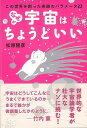 なぜか宇宙はちょうどいい−この世界を創った奇跡のパラメータ22/バーゲンブック{松原 隆彦 誠文堂新光社 理学 工学 地球 天文 気象 物理}