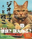 ジオラマとねこ/バーゲンブック{ジオラマ食堂 イーストプレス 美術 工芸 写真集・写真家 写真集 写真家 人気 模型 鉄道 写真 海}