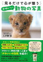 見るだけで心が整う かわいい動物の写真/バーゲンブック{入戸野 宏 アスコム ビューティー&ヘルス 健康法・長寿 健康法 長寿 健康 飼育 写真 動物 ビューテ...