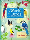A World of Birds/バーゲンブック{Vicky Woodgate Import19 洋書 児童洋書 児童 子供 こども 英語 えいご}