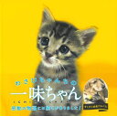わさびちゃんちの一味ちゃん/バーゲンブック{わさびちゃんファミリー 小学館 ホーム・ライフ ペット ホーム ライフ 夏}