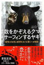 数をかぞえるクマサーフィンするヤギ−動物の知性と感情をめぐる驚くべき物語/バーゲンブック{べリンダ・レシオ NHK出版 文芸 ノン・フィクション ド...