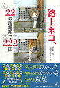 路上ネコ、22の居場所で222匹/バーゲンブック{佐々木 まこと 幻冬舎 美術 工芸 写真集・写真家 写真集 写真家 カット 写真}