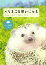 ハリネズミ飼いになる−飼い方から、一緒に暮らす楽しみ、グッズまで/バーゲンブック{ハリネズミ好き編集部 編 誠文堂新光社 ホーム・ライフ ペット ホ...