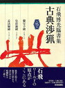 石飛博光臨書集 古典渉猟 第15集/バーゲンブック{石飛 博光 芸術新聞社 諸芸 書道 書画 書道具 書集 手本 ワールド}