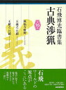 石飛博光臨書集 古典渉猟 第16集/バーゲンブック{石飛 博光 芸術新聞社 諸芸 書道 書画 書道具 書集 手本 ワールド}
