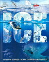 ICE−CHILLING STORIES FROM A DISAPPEARING WORLD/バーゲンブック{DK 編 Import19 洋書 児童...