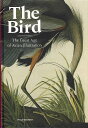 The Bird−The Great Age of Avian Illustration/バーゲンブック{PHILIP KENNEDY Import...