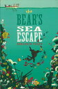 the BEAR’S SEA ESCAPE/バーゲンブック{Import19 洋書 児童洋書 児童 子供 こども 英語 えいご}