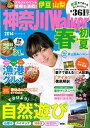 神奈川Walker2014春→初夏/バーゲンブック{ウォーカームック KADOKAWA 地図 ガイド 旅行/ドライブ・ガイド 旅行 ドライブ 春 夏}