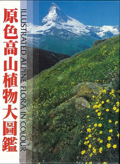 楽天アジアンショップ楽天市場店原色高山植物大図鑑/バーゲンブック{北隆館 理学 工学 植物 農学 図鑑 写真 環境 日本}