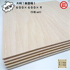 カットサービス有り　送料無料！【シナ合板 カット端材　600×600×9ミリ　5枚入り】 板　大判　木材　DIY　日曜大工 工作　棚作り　補修　手作り　端材　材料　木　犬小屋　最短当日出荷