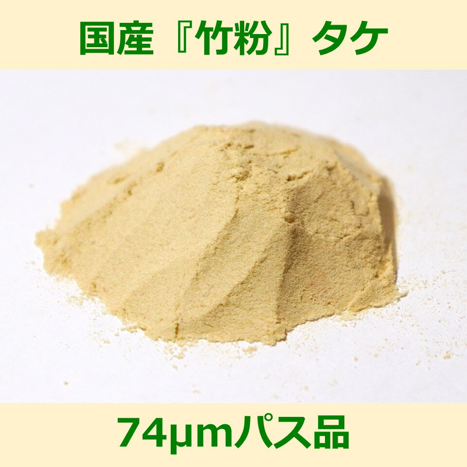 国産 竹粉 74μm パス品 100g タケ woodpowder 多用途 新素材 bamboo powder 微粉砕 竹 パウダー 自然素材