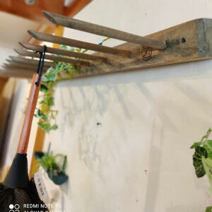 【送料無料】13フックB　WOOD　ウォ−ルフック　壁掛け　インテリア　雑貨　木　フック　ハンガー　ウッ..