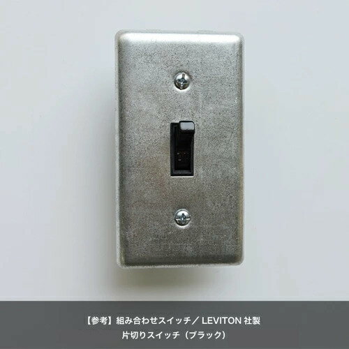 【即日発送】クーポンあり！ スチール1口スイッチプレート 亜鉛メッキ アメリカンスイッチ スイッチプレート スイッチカバー スチール シルバー インダストリアル おしゃれ 新築 改築 リフォーム DIY 電気 電気工事 照明 アメリカ社製 1口 ST-SWP-1M