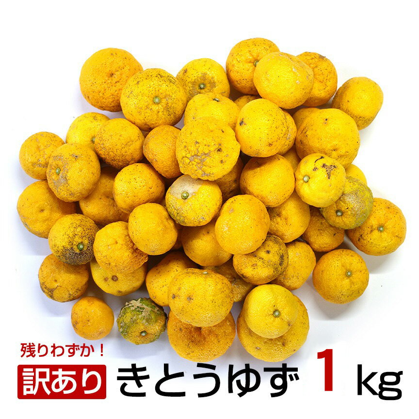 わけあり木頭ゆず1kg「数量限定」冬至にもおススメ！黄金の村 徳島県 木頭ゆず ゆず ユズ yuzu 黄玉 果皮 肉厚 良い香り 酸味 ゆず湯 ユズ湯 柚子湯 ゆず風呂 冬至 冬至の日