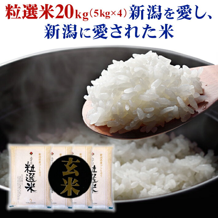 新潟産 コシヒカリ 玄米　真空パック 20kg 備蓄 米 送料無料 新潟県 こしひかり 20キロ 2023年 令和5年美味しいお米 ※ おにぎり 自炊　保存食