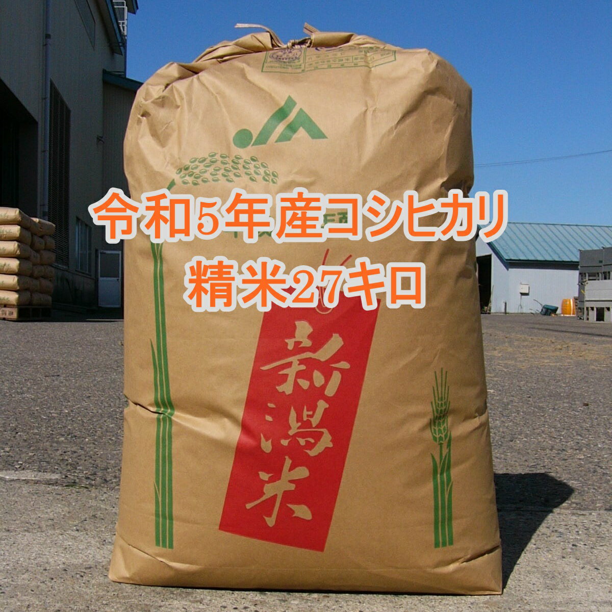 新潟産 コシヒカリ精米 27kg 米 送料無料 新潟産 27キロ 新潟県 こしひかり 2023年 令和5年美味しいお米 ※ おにぎり 自炊　保存食　米　新潟