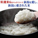 【新米！】新潟産 コシヒカリ 6合 900g 新米 送料無料 ギフト 新潟県 こしひかり 精米 玄米 2021年産 令和3年産 【みずほの粒選米】美味しいお米 引っ越し 　ポイント消化 買い回り おすそ分け 一人暮らし プレゼントに 特A 下越産