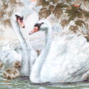 ロシアのクロスステッチキット 白鳥 (RIOLIS・リオリス・1726)(3)