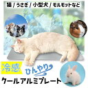 ひんやりアルミプレート(中) 小型犬 猫 うさぎ ケージ 暑さ対策 ひんやり マット ペット用品 小動物用品 ひんやり モルモット Mサイズ 冷感 プレート