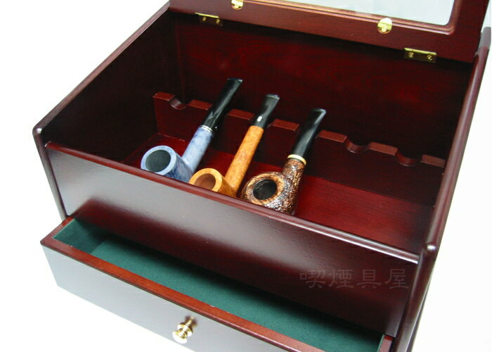 �ջ��� �ѥ��ץ���ӥͥå� HL-60 �ѥ��� ��Ǽ 6���ѡ�100��������