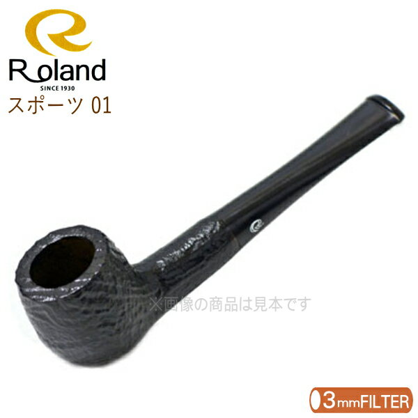 Roland ローランドパイプ RL5001 ブラック スポーツ 01 ビリヤード 直 パイプ 3m ...