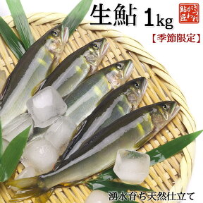 生鮎 1Kg 湧水育ち 鮎 天然仕立て バーベキュー 食材セット 魚 鮎の塩焼き 旬 お中元 父の日