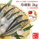 冷凍鮎