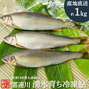 冷凍鮎 1kg 栃木県 喜連川 湧水育ち 鮎 小分け 魚 焼き魚 焼魚 川魚 バーベキュー キャンプ