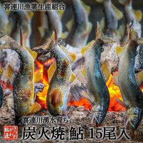 鮎の塩焼き 鮎の炭火焼 15尾入り 喜連川 湧水育ち 鮎塩焼き あゆ アユ バーベキュー 通販 送料無料 養殖鮎 贈答品 冬ギフト [ 冷 蔵 ]