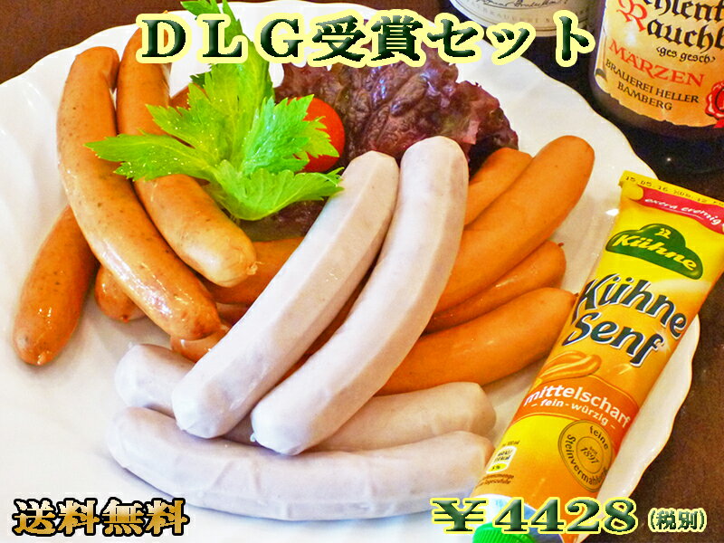 【送料無料】【あす楽対応】 DLG受